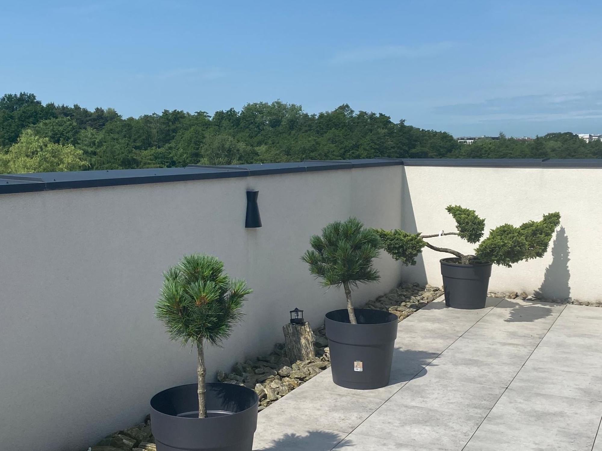 Apartamenty Figaretti - Krakow — Zdjęcia 1